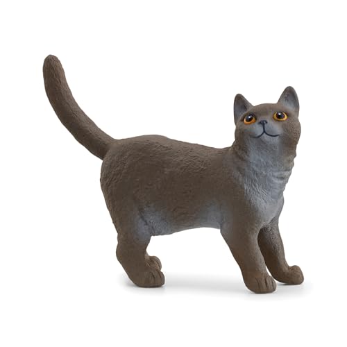 SCHLEICH Farm World | Britische Kurzhaar Katze 13973 Bauernhof Spielfigur | detailgetreue Tierfiguren | Geschenkidee für Jungen und Mädchen | Bauernhof Spielzeug ab 3 Jahre | 2 x 6 x 4 cm