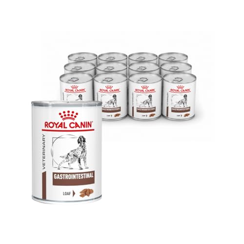 Royal Canin Veterinary Gastrointestinal Mousse | 12 x 400 g | Diät-Alleinfuttermittel für ausgewachsene Hunde | Zur Unterstützung bei akuten Resorptionsstörungen des Darms