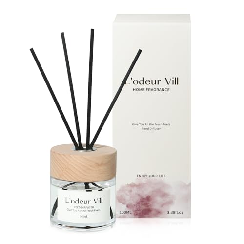 L'odeur Vill Raumduft Reed Diffuser 100ml,mit 6 Duftstäbchen, Langanhaltender Duft für Wohnzimmer Schlafzimmer Bad Büro (Minze und Obst)