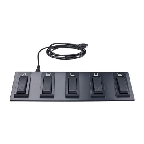 KORG EC5 Externer Controller 5-Pedal-Pedaleinheit für KORG Arranger-Keyboards