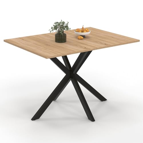IDMarket - Esstisch, rechteckig, Alix, 6 Personen, Spinnenfuß, Holz und Schwarz, 110 cm