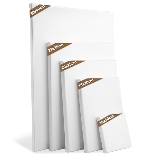5 Stück Leinwand Set, leinwand zum bemalen, keilrahmen, leinwände für acrylfarben für Künstler, Amateure, Anfänger und Kinder für Acryl-, Aquarell-, Ölfarbe UVM (10x10,15x20,20x25,25x30,30x40 cm)