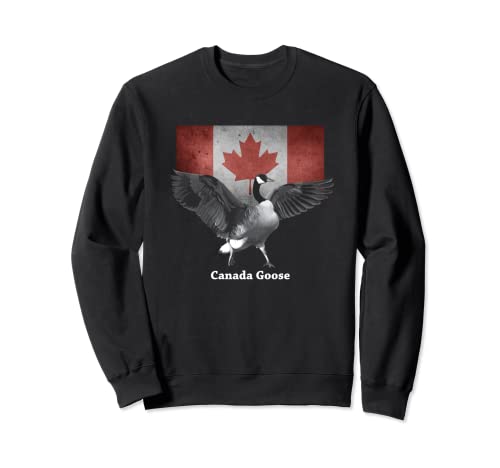 Canada Goose