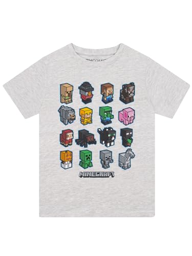 Minecraft Mini Mobs Jungen-T-Shirt Heather Grey 146 | PS4 PS5 XBox PC wechseln Gamer Geschenke, Tween Teen Schule Jungen Gaming Top, Kinderkleidung, Kindergeburtstags-Geschenk-Idee