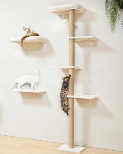 FUKUMARU Kletterwand Katzen-Set, 178 cm hoch, stabiles 3-in-1 Kratzbaum-Set aus mehrschichtigem Massivholz, Holzkatzenmöbel mit Kratzbaum-Wand und 2 Wandregalen, platzsparende Kletterwand, Beige