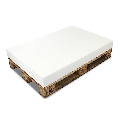 MSS e.K. PALETTENKISSEN MATRATZENKISSEN (120 x 80 x 8 cm) Schaumstoff FÜR EUROPALETTE/Auflage