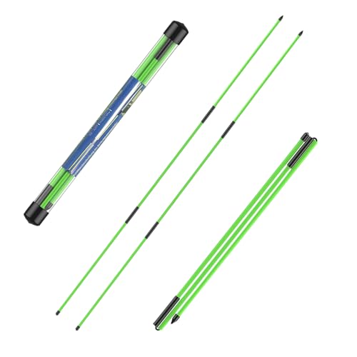 flintronic Golf Alignment Sticks, 2 Stück Klappbar Golfübungsstangen mit Durchsichtigem Aufbewahrungsrohr, Alignment Übungsstangen Schwunghilfe Golfübungsgerät Richtungsanzeige zum Zielen Putten, Grün