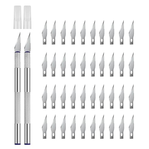 YPYMOD 2 Stück Precision Carving Craft Messer, Skulptur, Schnitzmesser für Bastelmesser mit 40 Ersatzklingen (Silber)