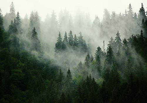 Forwall - Vlies Fototapete Wald Nebel Natur Bäume Landschaft Skandinavisch 368x254 cm - Fototapeten - Tapeten - für Wohnzimmer Schlafzimmer - Vliestapete Wandtapete Tapete 3D Effekt- inkl. Kleister