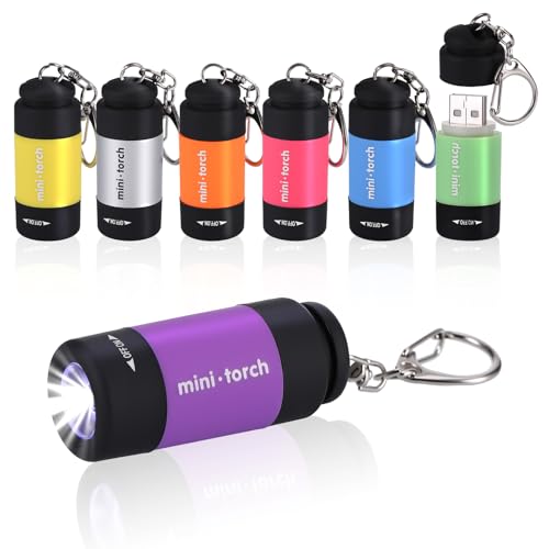 Kssvzz 7 Stück Mini LED Taschenlampe mit Schlüsselanhänger