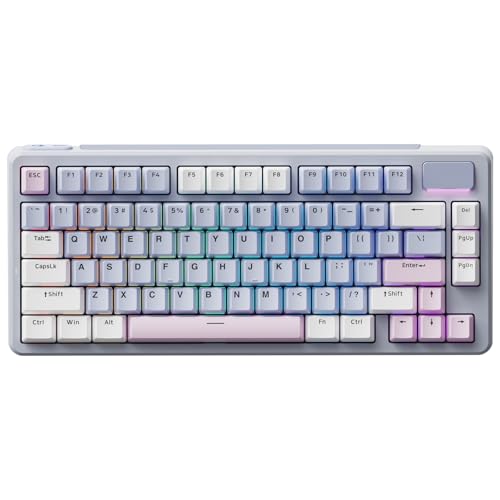 Rapoo V700DIY-75 Kabellose Mechanische Gaming Tastatur, BT 5.0/2,4 GHz/Kabel, Hot-Swap-fähige individuelle, Speed-Silver-Linearschalter, 16,8M Per-Key-RGB, Gasket-Mount, Full NKRO Anti-Ghosting
