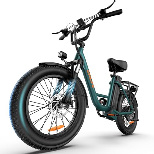 URLIFE E-Bike für Erwachsene, 20 * 3.0