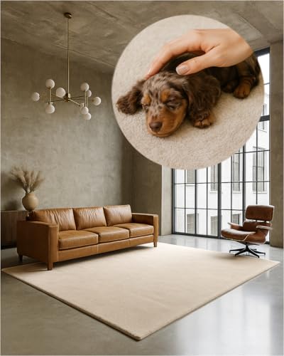 TEXMAXX Weicher Kurzflor Teppich Wohnzimmer mit rutschhemmender Rückseite