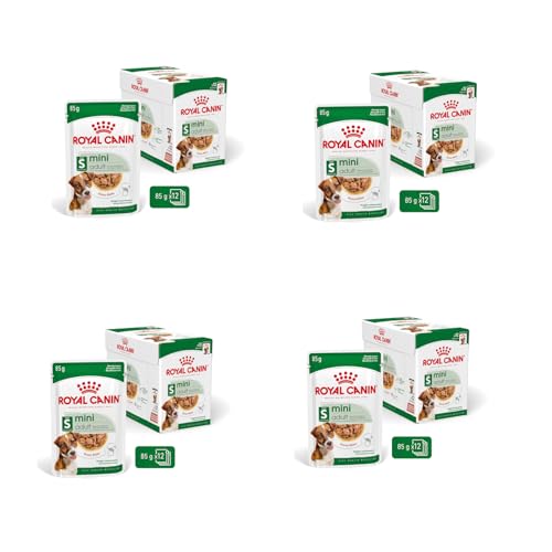 Royal Canin Mini Adult | 4er Pack | 4 x 12 x 85 g | Nassfutter für ausgewachsene kleine Hunde | Kann zur optimalen Versorgung Kleiner Hunderassen eingesetzt Werden | Im Frischebeutel