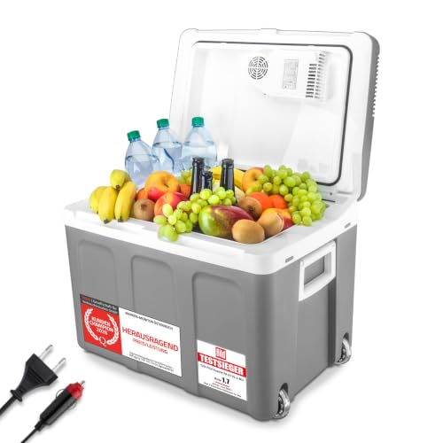 TZS First Austria - Kühlbox 45L elektrisch 12V 230V Anschluss für Auto & Steckdose - Thermoelektrische Cool Box kühlt & wärmt - Mini Kühlschrank mit Rollen - Für Camping, Festivals, Reisen - Grau