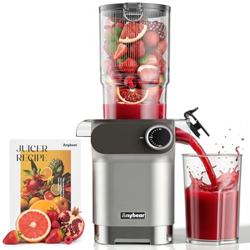 Anybear Entsafter 200W Slow Juicer mit 110 mm großem Einfüllschacht für ganze Früchte/Gemüse | Upgraded Schnecke | Tritan-Material | BPA-frei | Inkl. Saftrezepte (Silbern)