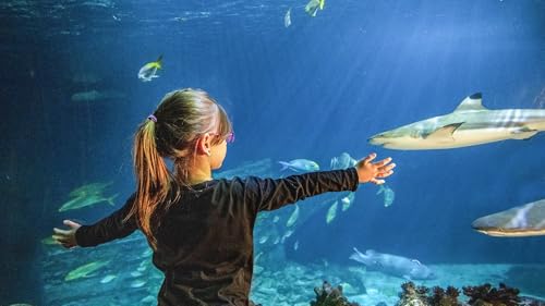 JOCHEN SCHWEIZER Geschenkgutschein: Sea Life München (Kinder-Ticket)