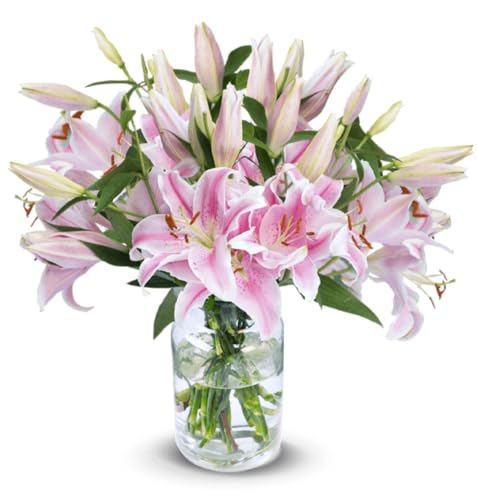 Blume Ideal Blumenstrauß | 10 Pinke Lilien | Ø 40–50 cm | Echte Lilien für Hochzeit & Deko | 7 Tage Frischegarantie | In verschiedenen Mengen