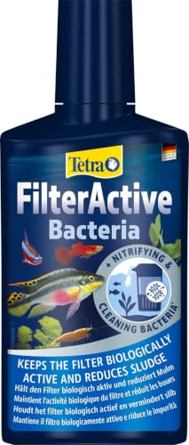 Tetra FilterActive Bacteria - Wasserpflegemittel, 250 ml Flasche