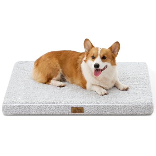 COZY KISS Orthopädisches Hundebett für große Hunde, Abnehmbarer Waschbarer Bezug mit wasserdichtem Futter und Rutschfester Unterseite, Größe L, 91 x 68 x 7,6 cm, Grau
