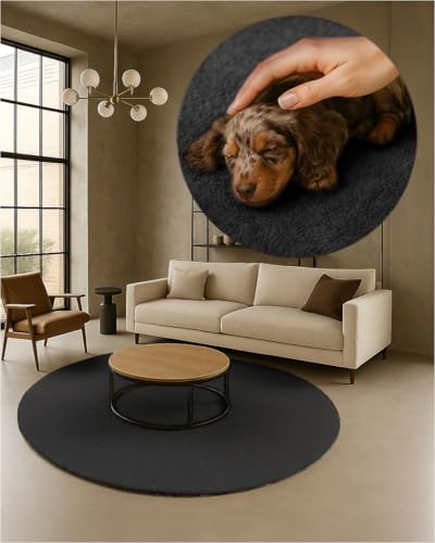 TEXMAXX Weicher Kurzflor Teppich Wohnzimmer mit rutschhemmender Rückseite (120 x 120 cm Rund) - Modern für Flur, Esszimmer und als Schlafzimmer Teppich in Anthrazit dunkel - Waschbar bis 30 Grad