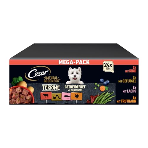 Cesar Natural Goodness Premium Hunde Nassfutter in der Schale Getreidefrei mit Superfoods in 4 Varietäten Megapack 24x100g