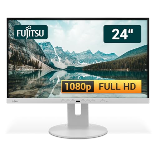 Fujitsu Display P24-9 24 Zoll Business Computer Monitor, Desktop Gaming Monitor, Full HD (VGA - DisplayPort - HDMI - USB-C - Lautsprecher - USB-HUB - VESA), PC Bildschirm, Marmorgrau (Generalüberholt)
