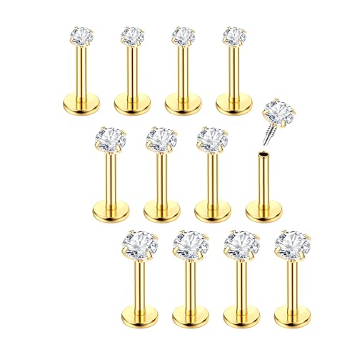 Chriscoco 16G 12Pcs Gold Piercing Ohr Chirurgenstahl Tragus Helix Piercings