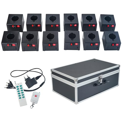 OSMARI Brunnen-Feuerwerk-Zündsystem, drahtlose Fernbedienung, Bühnen-Kaltpyro-Party, pyrotechnische Maschine, Hochzeitsempfänger, Funkenkanal,2-control12-seater
