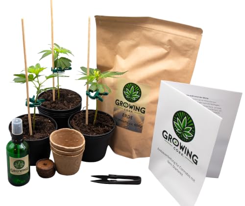 Growing Corp. Cannabis Anbau Starter-Kit/Set für drei Gras/-Weed Pflanzen inkl. Anbauanleitung und Zubehör