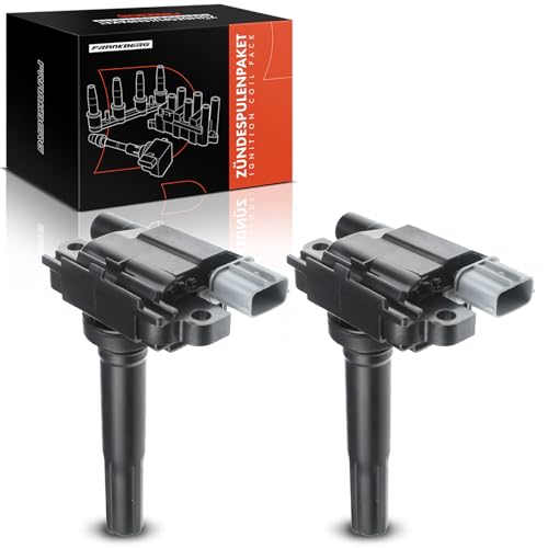 Frankberg 2x Zündspule Zündmodul 3340062J00