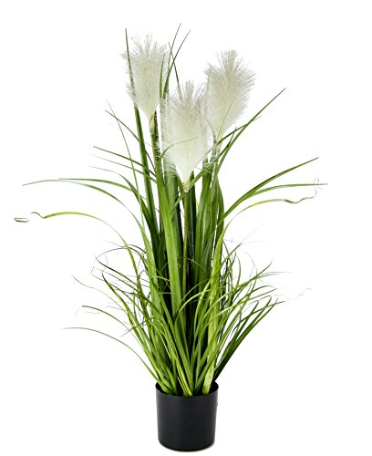 Kunstpflanze Pampas Gras im Topf Kunstgras Künstliches Federgras Seidenblumen Dekogras Dekopflanze Pflanzen Ziergras Pampasgras Kunstblume Grünpflanze Zimmerpflanze Gräser Grasbusch Blume, 80cm