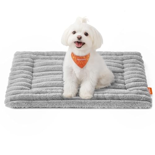 Feandrea Hundedecke, S, 60 x 45 cm, Haustierdecke für Hunde, Katzen, Hundesofa maschinenwaschbar, Hundesofa-Schutzdecke, Taubengrau PPB041GD01