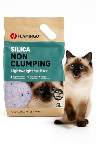 Flamingo Katzenstreu - Silikat Katzenstreu - Silikatstreu 5L für 6 Wochen - mittelkörnige Streu ohne Duftstoffe - staubfrei, saugstark und perfekt für Kätzchen