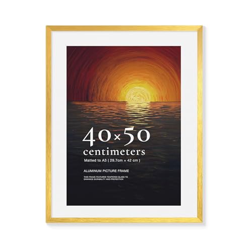 LIVINGTASTE Bilderrahmen 40x50 Aluminium Gold gebürstet mit gehärtetem Glas, 1 Stück mit Passepartout für A3 (29,7 x 42 cm), für 40x50 cm, ideal für Galerie 1pk