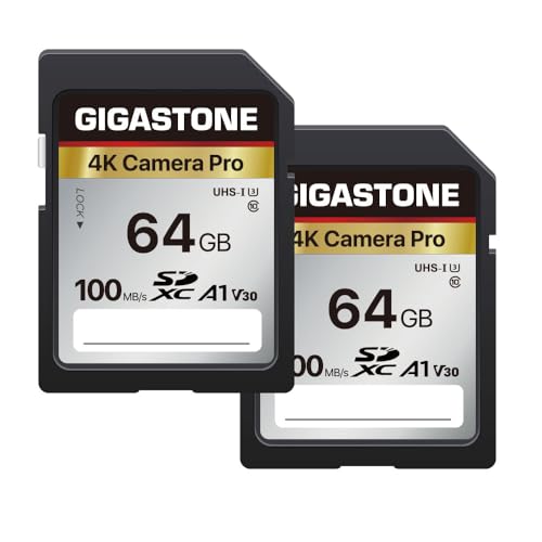 GIGASTONE 64GB SDXC Speicherkarte 2er-Pack, 4K Kamera Pro, bis zu 100 MB/s für Digitalkameras Canon Sony Nikon Olympus, 4K UHD Videoaufnahmen UHS-I U3 V30 Klasse 10