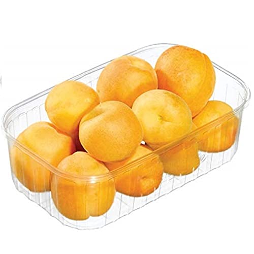 tegut… Bio Aprikosen gelbfleischig, 500 g