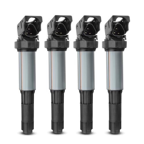 Frankberg 4x Zündspule Zündmodul Kompatibel mit E46 E90 E91 E92 E93 E39 E60 E61 F07 E63 E64 F13 E81 E82 E87 E88 F20 F21 7er X1 X3 X5 X6 Z3 Z4 M.i.n.i Replace# 12131712219