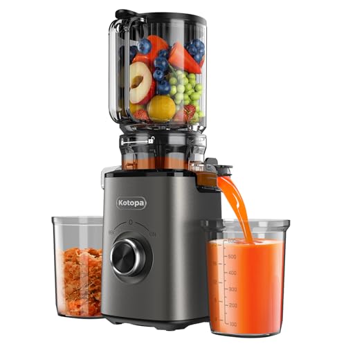 Entsafter Gemüse und Obst Testsieger, Slow Juicer mit 120 MM XL-Einfüllschacht, 600 mL Saftbehälter, Elektrische Juicer Machine für Familien, Gesundheitsbewusste, Einfache Reinigung(Grau)