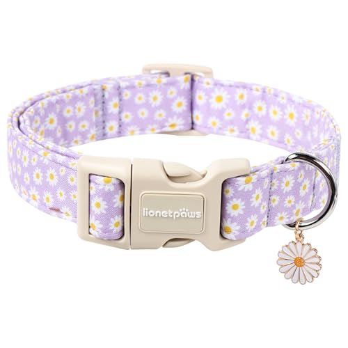 Lionet Paws Hundehalsband mit Blumenmuster, niedliches Gänseblümchen, violett, mit Kunststoffschnalle, leicht, verstellbar, für kleine Hunde