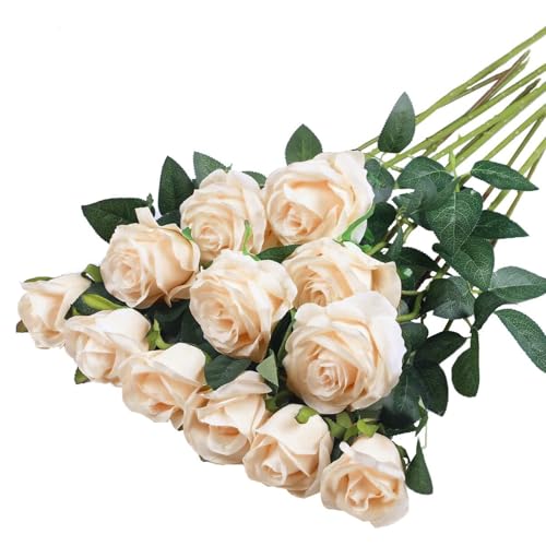 PacuM 12 Stück Künstliche Rosen Seidenblumen Fake Rose 51 * 7cm Einzelne Langstielige Künstliche Rosen Realistische Kunstrosen für Brautstrauß Heiratsantrag Party Haus Garten Dekor (Sekt)