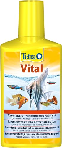 Tetra Vital - fördert Vitalität, Wohlbefinden und Farbpracht bei Fischen, ergänzt lebenswichtige Vitamine und Mineralstoffe, 250 ml Flasche