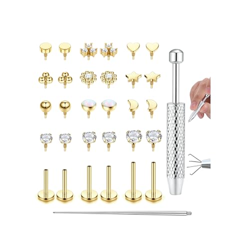 Adramata 16G/18G Tragus Helix Labret Piercing Innengewinde Nasenpiercing Stecker Lippenpiercing Hypoallergen Knorpel Conch Ohrringe Piercing Ohr 6/8/10MM
