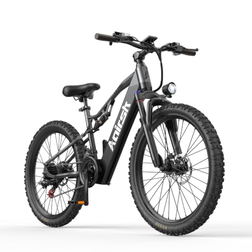 XT90 E-Bike für Erwachsene, 26 Zoll Elektrofahrrad mit 250W Motor & 48V 20AH Akku, 100KM Reichweite, 21-Gang Schaltung, Full Suspension, Fatbike 26×2.6