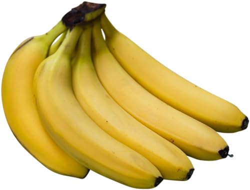 tegut… Bio zum kleinen Preis Bananen, 180 - 300 g