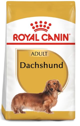 Royal Canin Dachshund 28 Adult Hundefutter 7.5 kg, 1er Pack (1 x 7.5 kg)