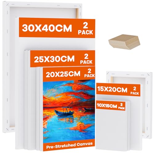 Koncci Leinwand zum Bemalen, 10 Stück 5 Größe Keilrahmen,10x15, 15x20, 20x25, 25x30, 30x40cm(je 2 Stück), 280g/m² Dreifach Grundiert Baumwolle Leinwand, Leinwände für Acrylfarbe, Aquarell, Öl, Gouache