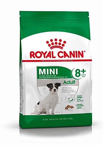 Royal Canin Hundefutter Mini Adult 8+, 8 kg, 1er Pack (1 x 8 kg)
