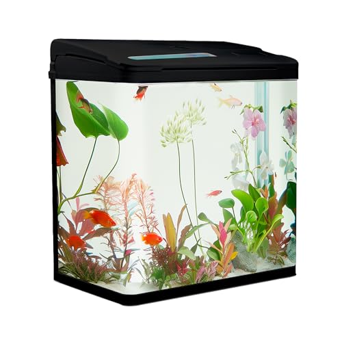 VIALIA Aquarium Komplettset 30 Liter | mit LED-Beleuchtung, Pumpe & Filter | 38x24x43 cm Glasbecken | Gebogene Frontscheibe für Panoramablick | Nano Aquarium für Fische & Pflanzen | Schwarz