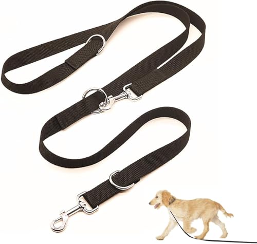 Hundeleine Große Hunde, Dog Leash, für Große Und Kräftige Hunde, Mit Zwei Karabiner (Schwarz 2,5 X 260 cm)